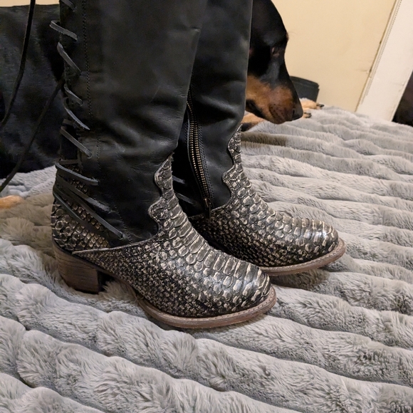 Freebird Coal grey Python multi - Picture 3 of 6